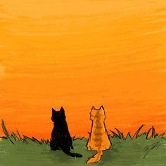 two cats are sitting in the grass watching the sun go down on an orange sky