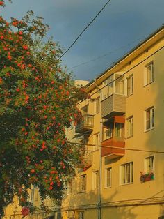 an apartment building with balconies and red flowers on the tree in front of it