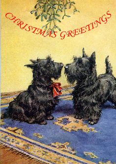 three black dogs sitting on top of a rug with a christmas tree in the background