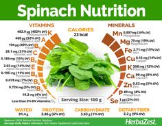 Spinach Benefits, Low Carb High Protein, Food Health Benefits, Fruit Benefits, Fruit Salad Recipes