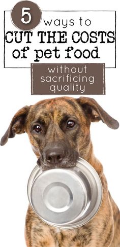 a dog holding a bowl with the words 5 ways to cut the cost on pet food without giving up quality