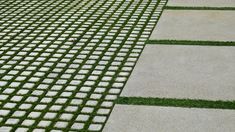 the grass is growing on the concrete walkway