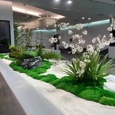 an indoor garden with white flowers and green moss