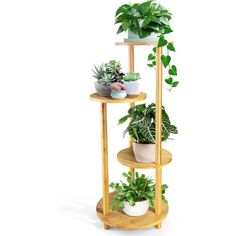 three tiered plant stand with potted plants