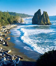 the beach is lined with trees and rocks