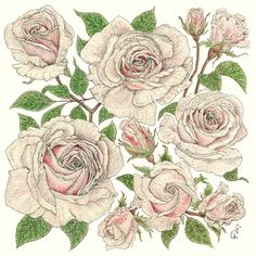 white and pink water colored roses with green leaves Decorative Paper Napkin for Decoupage Mixed Media, Scrapbooking Decorative Paper Napkins, Decorative Napkins, Collage Scrapbook, Wood Plaques, Decoupage Paper, Mirror Image, Rice Paper, Mixed Media Collage, Paper Napkins