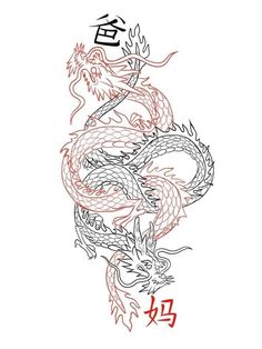 a drawing of a dragon with chinese writing on it