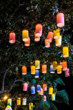 many different colored lights hanging from a tree