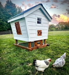 two chickens standing in the grass next to a chicken coop