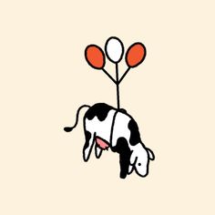 a black and white cow with two red balloons attached to it's back