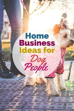 a small dog wearing a pink polka dot shirt with the words home business ideas for dog people