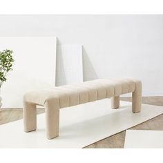 a bench sitting on top of a white rug next to a plant in a vase