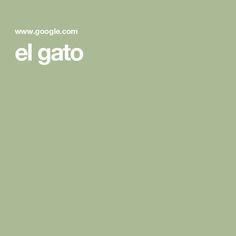 el gato