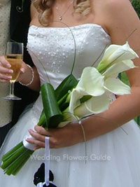 the bride and groom are holding champagne glasses