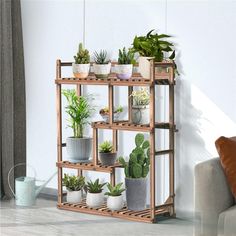 the shelves are filled with plants and other houseplants in pots on top of them