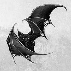 a black and white drawing of a bat flying through the air with its wings spread