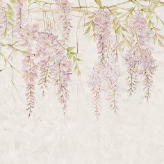 pink flowers are hanging from the branches of a tree in front of a white wall