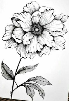 a black and white drawing of a large flower on a piece of paper with leaves