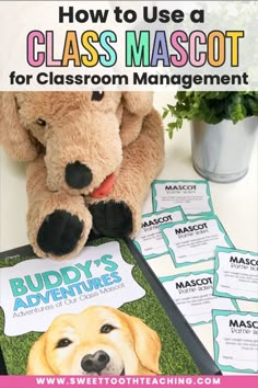 a teddy bear sitting on top of a desk next to a book with instructions for how to use a class mascot for classroom management