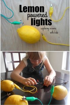 the lemons are being used to make lights for children's books and crafts