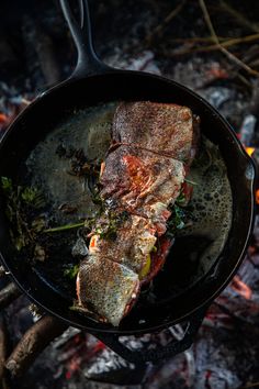 fish cooking in a cast iron skillet over an open fire