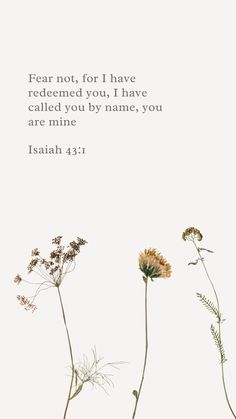 three flowers with the words, fear not for i have redeemed you i have called