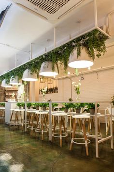 the interior of a restaurant with plants growing on the walls and wooden stools in front of them