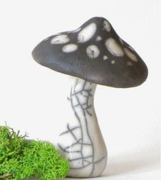 a black and white mushroom sitting on top of a green moss covered ground next to a small potted plant