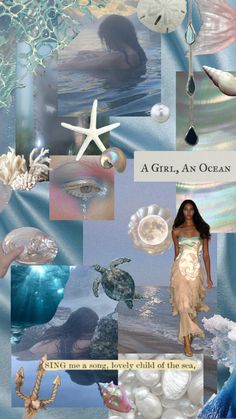 a collage of images with shells and sea creatures