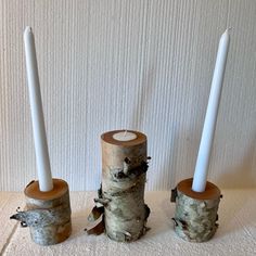 three white candles are placed next to each other in birch logs with branches on them