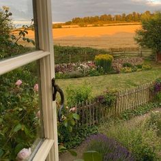 an open window looking out onto a field with flowers and trees in the foreground