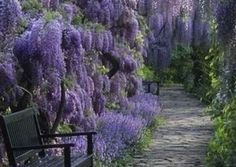 a bench sitting in the middle of a garden filled with purple flowers