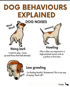 a poster with different types of dogs