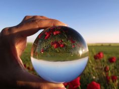 a hand holding a glass ball with red flowers in the center and blue sky behind it