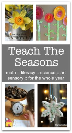 the cover of teach the seasons book with pictures of flowers and snowflakes on it