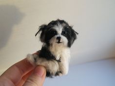 a small black and white dog sitting on top of a hand