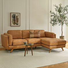 a living room with a couch, coffee table and potted plant in the corner