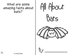 an open book with bats on it and the words, what are some amazing fact about bats?