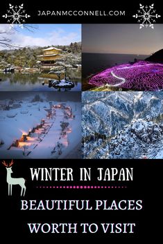 winter in japan beautiful places worth to visit