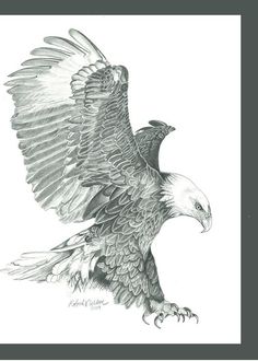 a drawing of an eagle flying in the air