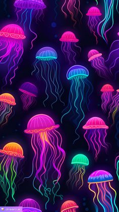 many jellyfishs are glowing in the dark, with different colors on their heads