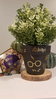 a potted plant sitting on top of a wooden stand next to other plants and decorations