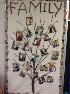 a family tree made out of photos on a bulletin board