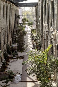 an alley way with lots of trees and plants