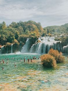 many people are swimming in the water near a waterfall and some trees with leaves on them