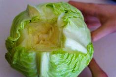 a head of lettuce being cut in half