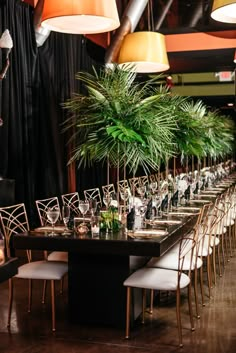 a long table with chairs and plants on it is set for a formal dinner or party