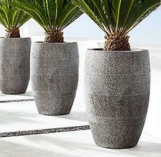 three cement planters with plants in them sitting on the concrete floor next to each other