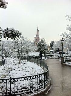 the walkway is covered in snow and has lots of trees on both sides, with a clock tower in the background