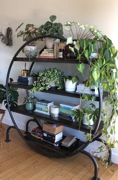 a shelf filled with plants and books on top of a hard wood floor